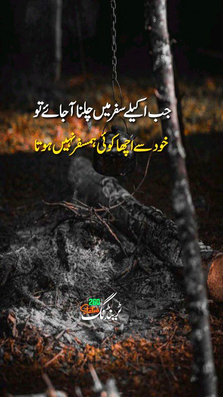 Saanaam ❣️❣️ mjhko akely nh chlna h tmhry 7 hi chlna h