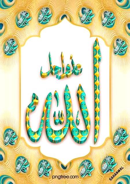 🌹🍀🌷🌹🌷🌹🍀🌷🌹🍀🌷