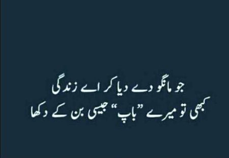 🍁Zoq_Shab🍁