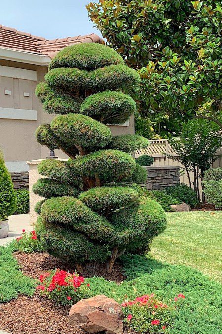 Beautiful Nature image