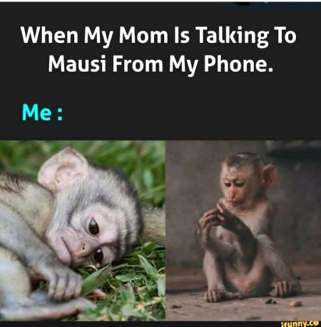 Memes & Satire image