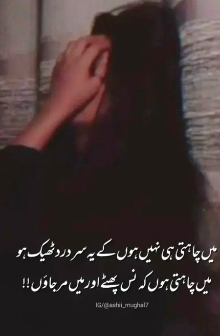 Attitude Quotes image