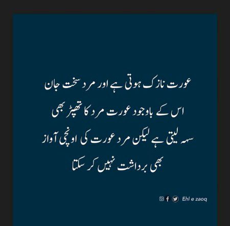 Brdasht nai hota phr inse