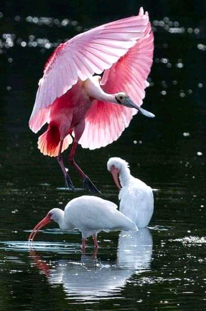 Beautiful Nature image
