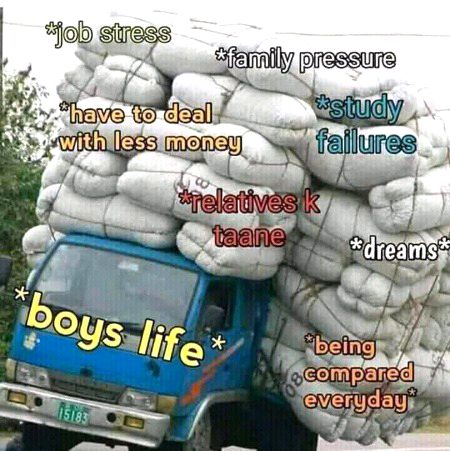 Memes & Satire image