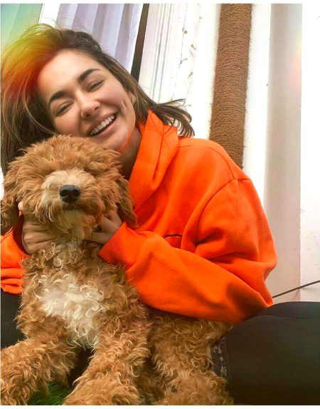 Pakistani Celebs image