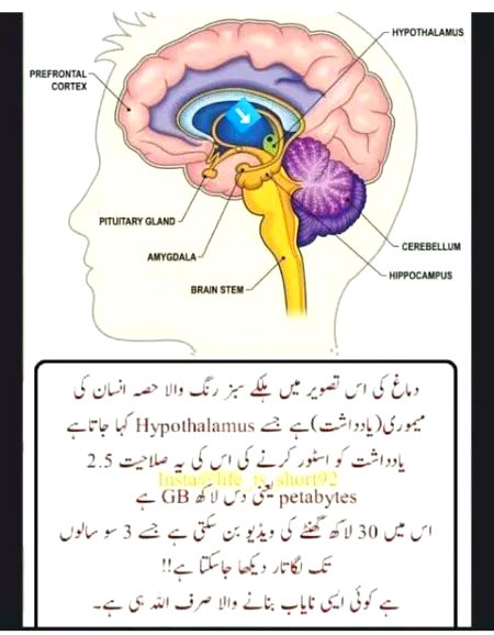 Right friends