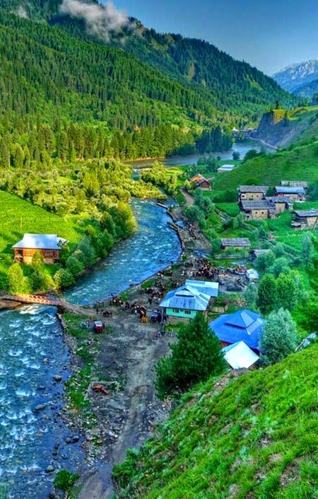 Beautiful Nature image
