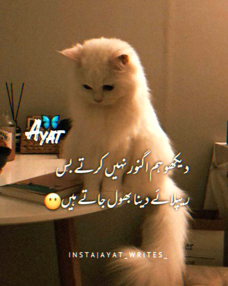 Jokes image