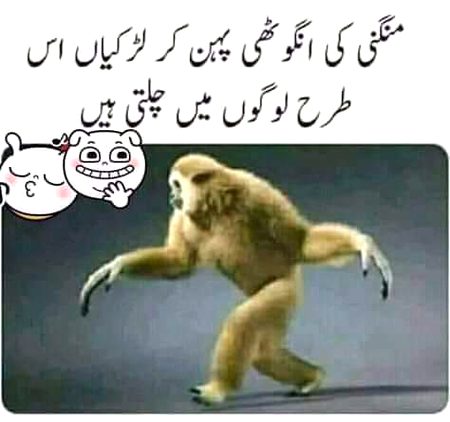 Memes & Satire image