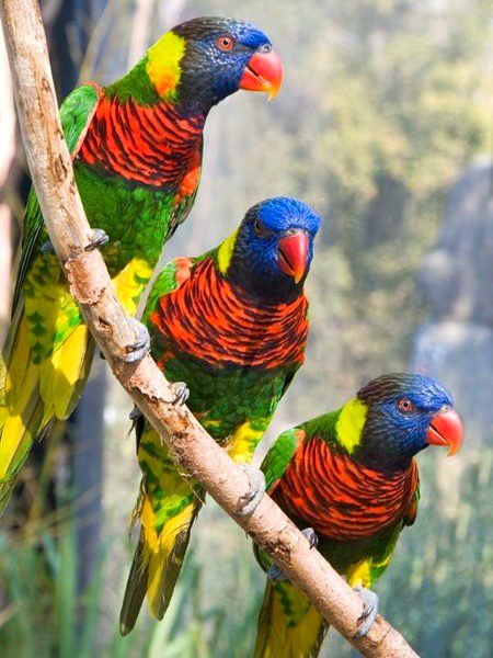 Beautiful Nature image