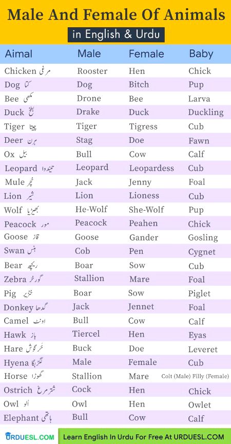 Tips for Students image