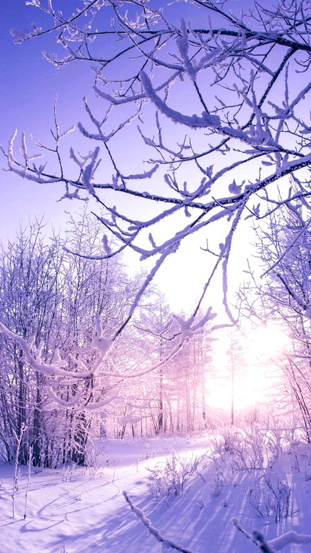 Shubsurat manzar