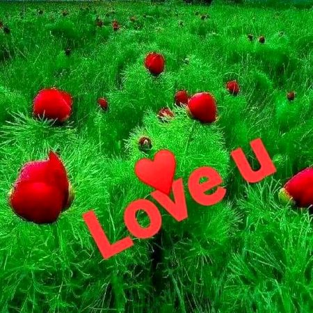 Aik   bht  hi  khs  insan  ky  liye  ❤