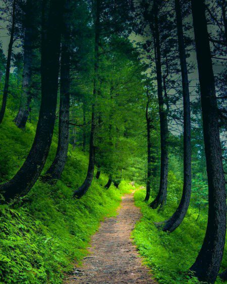 Beautiful Nature image