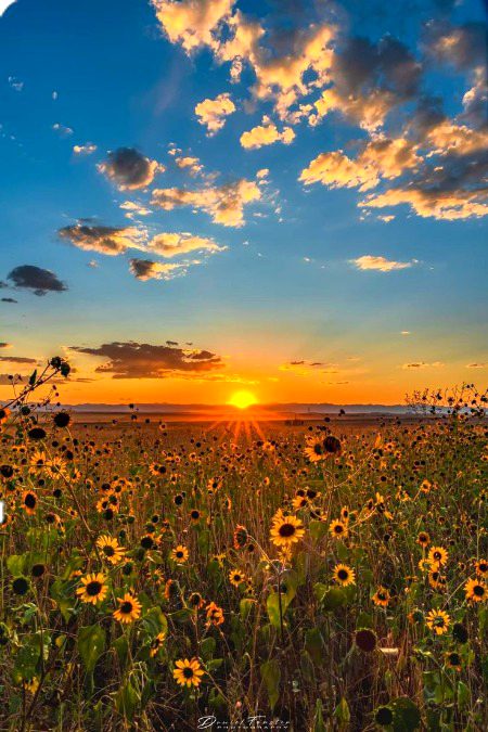 Beautiful Nature image