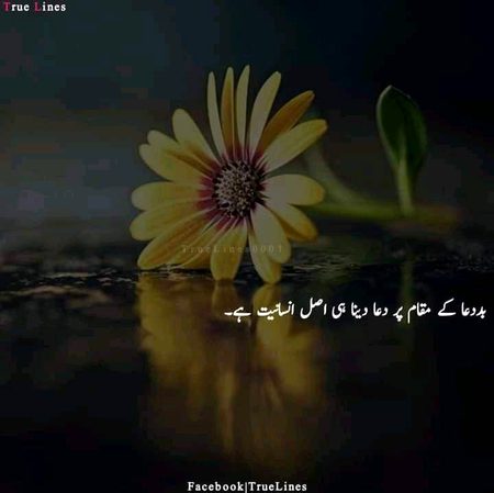 Motivational Quotes image