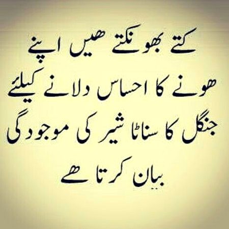 Attitude Quotes image