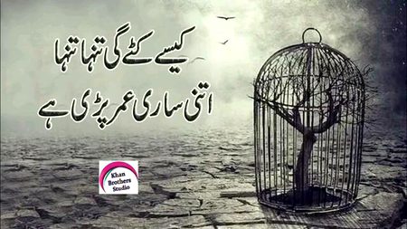 Umar pri hy