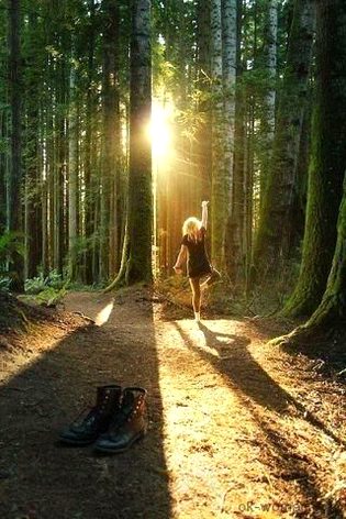 Beautiful Nature image