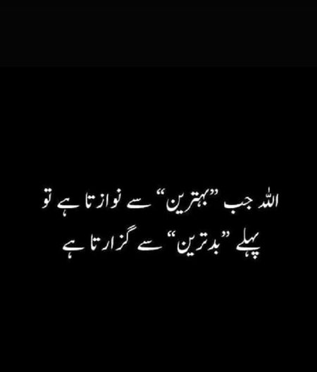 Islamic Quotes image