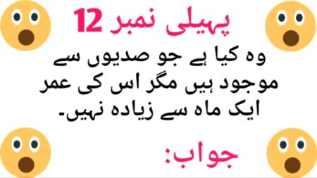 Riddles & Puzzles image