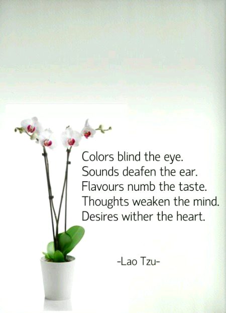 Colors blind...