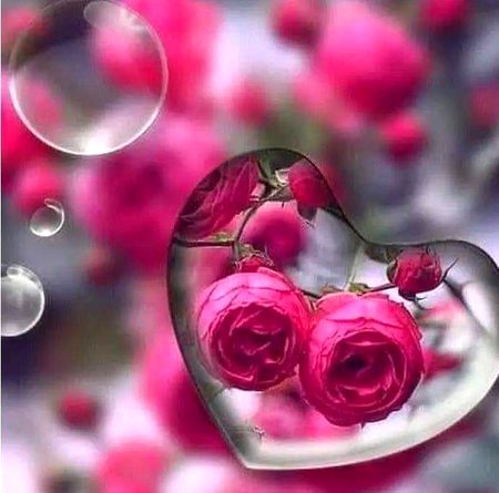 Beautiful Nature image