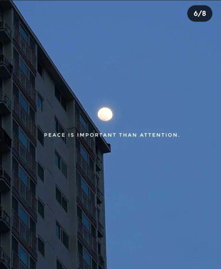 Liked 6 Pages with and Without Comments 😇