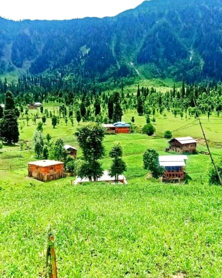 Beautiful Nature image