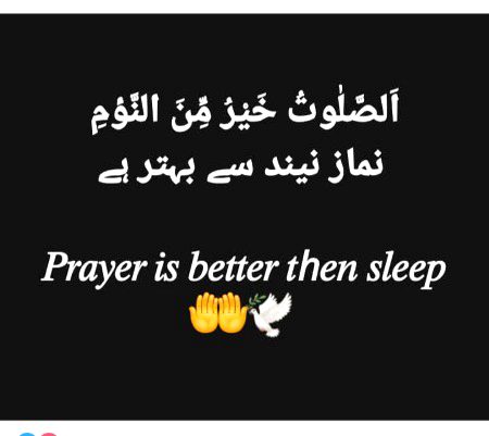 👑👑👑👑🤍👑👑👑👑