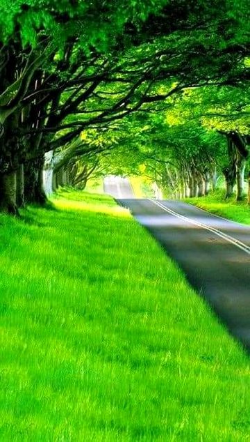 Beautiful Nature image
