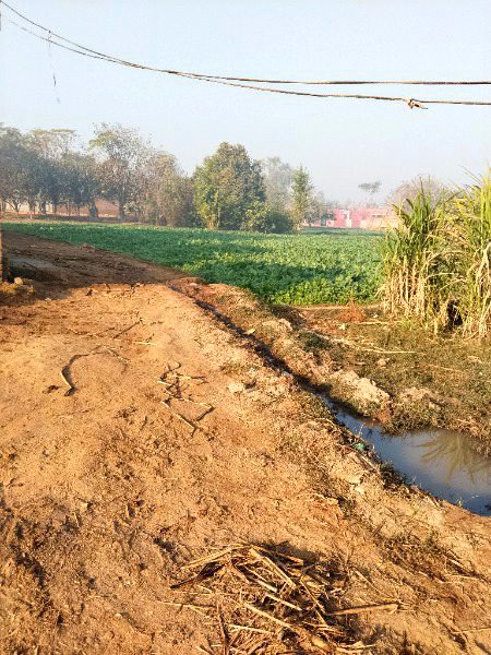 Beautiful nature beautiful village...