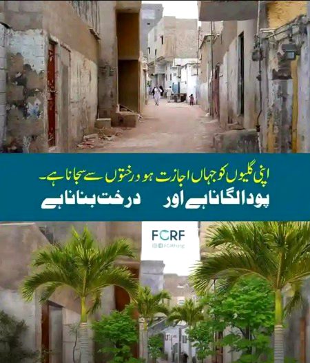 Hr gli ma pody ho tu pura pakistan sarbsabz hoga
