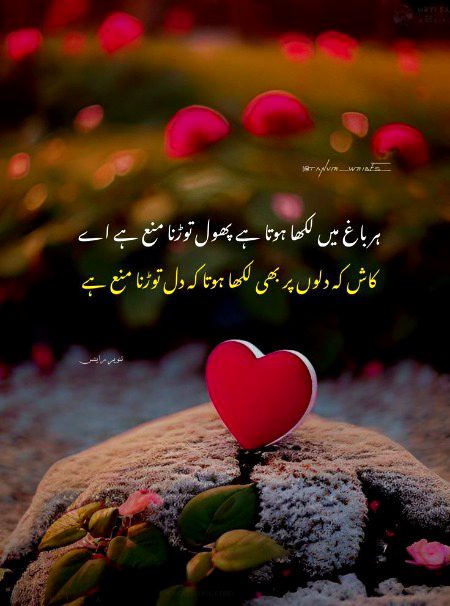 Dil torna S nh ab mjhe