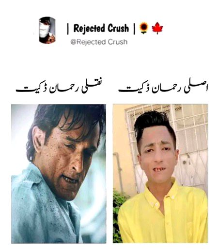 Memes & Satire image