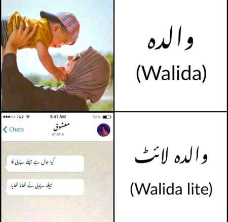 Memes & Satire image