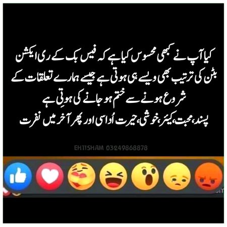 Bzi bzi bzi life ۔۔