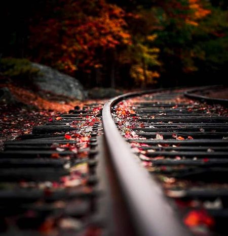 زندگی اگر ہماری سمجھ میں آنے کی چیز ہوتی تو اس کے مالک ہم خود ہوتے