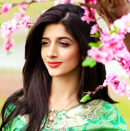 Pakistani Celebs image