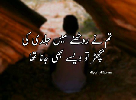 Attitude Quotes image