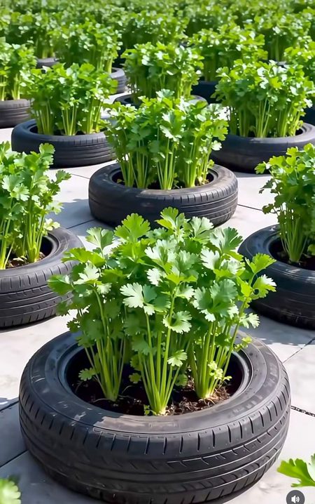 Beautiful Nature image