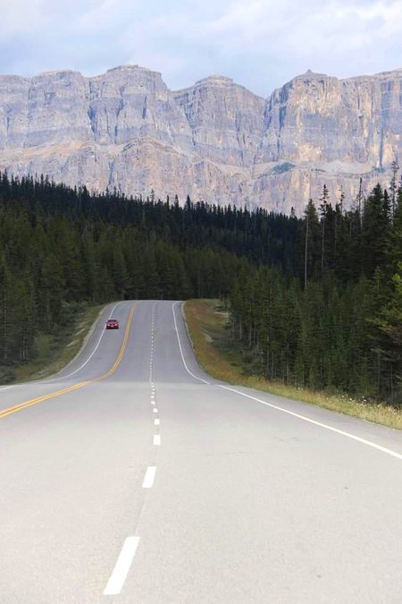 Lovely long drive roads in canada 🇨🇦
