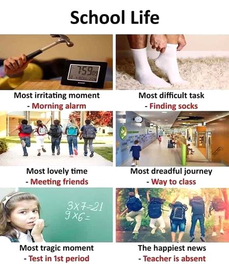 Memes & Satire image