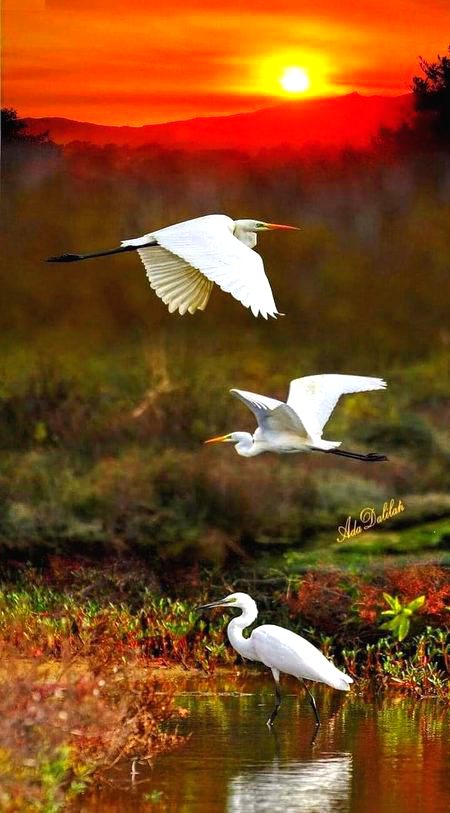 Beautiful Nature image