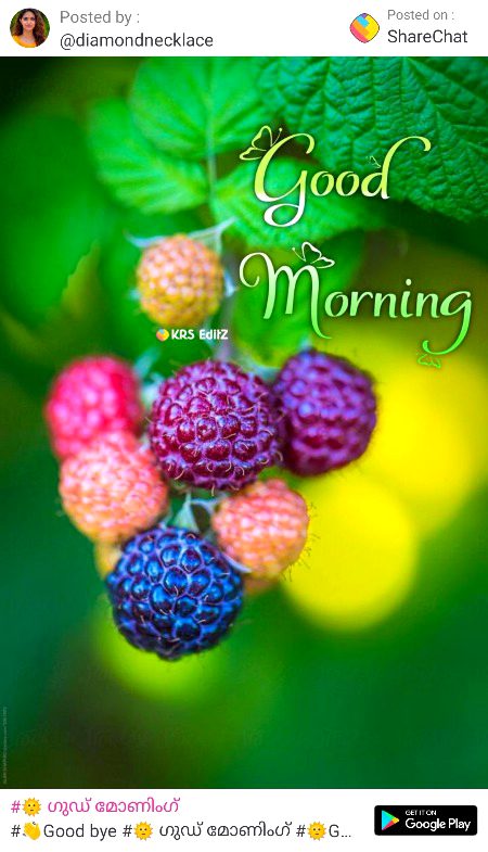 HAPPY MORNING G ❤️