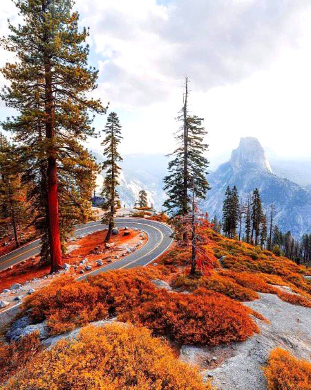 Beautiful Nature image