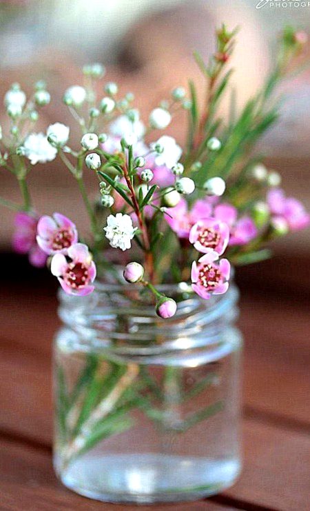 Beautiful Nature image