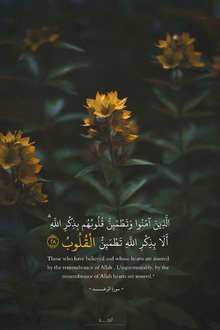 Islamic Quotes image