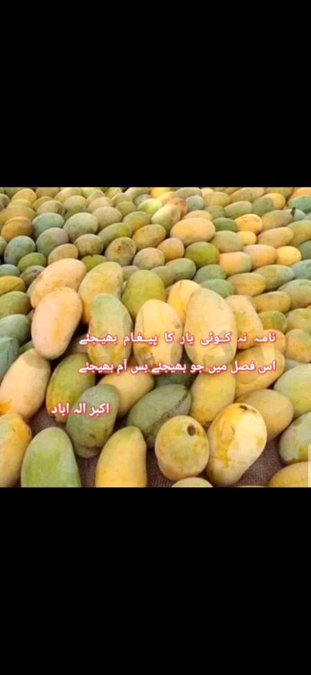 آم تیری یہ خوش نصیبی ہے 
ورنہ لنگڑوں پہ کون مرتا ہے